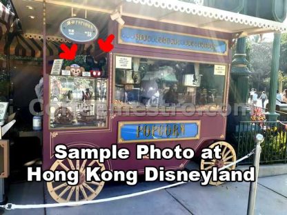 Hong Kong Disneyland Popcorn Bucket